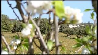 Sicilia Nature di Accursio Puleo