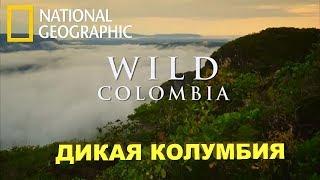 Путешествие: Дикая Колумбия - Serrania de la Macarena / National Geographic