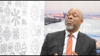 APN TV || CEO, Pan African Payment Settlement System (Mike Ogbalu)