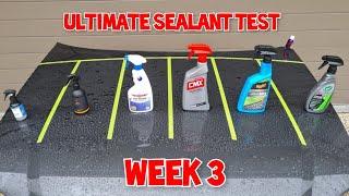 Ultimate Spray Sealant Test 3 Week Update Turtle Wax vs Meguiars vs Mothers v Bowdens v NV vs Carpro