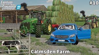 Placing Calf & Feeding Cows, Collecting & Storage Hay Bales │Calmsden│FS 22│Timelapse#10
