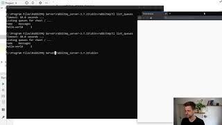 How to look inside RabbitMQ queues for messages (CLI + web) by @MarcoCodes