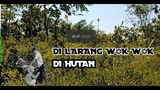 di larang wik wik di hutan,bisa g4nc3t@ngeyutubgaes