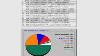 Analyzing Website Stats with Webalizer