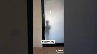 friend vs best friends | stokes twins & brent rivera tiktok