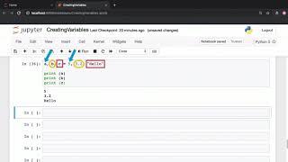 Assigning Values to Variables in Python