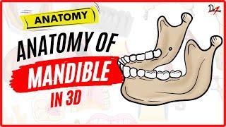 Anatomy of Mandible Made Easy