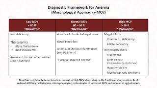 Anemia: Lesson 1 - Diagnostic Frameworks