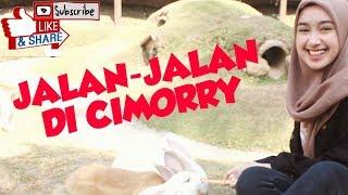 Vlog jalan-jalan di cimory