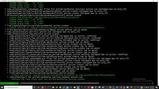 CS407 - How To Setup a GitLab Server