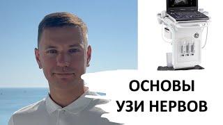 ОСНОВЫ УЗИ НЕРВОВ #узи #anatomy #ultrasound #нервы