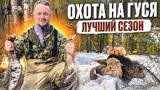 ОХОТА НА ГУСЯ // ШИКАРНЫЕ 5 ДНЕЙ НА ОЗЕРЕ // МОЯ ЛУЧШАЯ ОХОТА