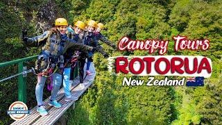 Ancient Forest ZIPLINE - Canopy Tours RotoruaBest Things In New Zealand  | 197 Countries, 3 Kids