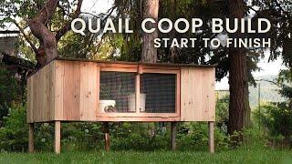 Absolutely STUNNING Quail Coop Built Start-to-Finish for Under a Hundred Bucks!