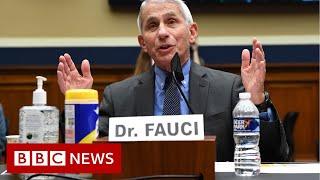 Top US health official Fauci warns of 'disturbing' new US surge - BBC News