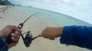 Ep19-Fishing in Mauritius at Wolmar