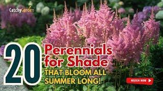 TOP 20 PERENNIALS FOR SHADE THAT BLOOM ALL SUMMER LONG!  // Gardening Ideas