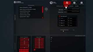 Assetto Corsa - Steering wheel settings @ Thrustmaster + Fanatec