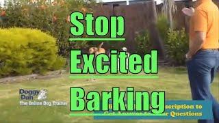 Stopping Excited Barking - How to Stop an Overexcited Dog From Barking?