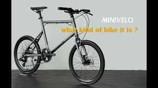 Is it really a Bike ?  | custom bike around the world #minivelo