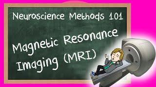 Magnetic Resonance Imaging (MRI) explained | Neuroscience Methods 101