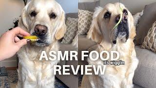 Golden Retriever Taste Tests New Foods - ASMR Eating