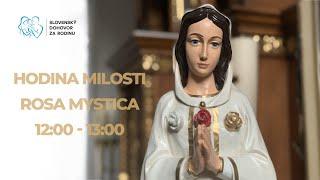 HODINA MILOSTI – VYSIELAME NAŽIVO – Rosa Mystica 12:00 - 13:00