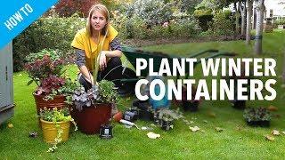 How to plant winter container gardens