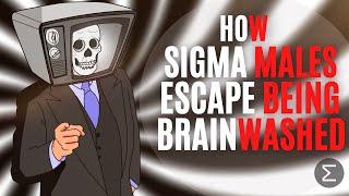 How Sigma Males Escape Being Brainwashed by Society