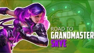 Skye Rank Gameplay: Smoke and Dagger or debilitate? | Paladins