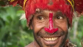 Papua New Guinea Bird of Paradise Dances