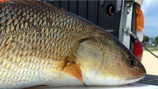 Rattlesnake Island Marsh - Matanzas Inlet, Saint Augustine, Florida - Saltwater Kayak Fishing!