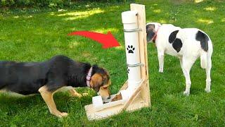 How to Make a DIY Automatic Dog Feeder