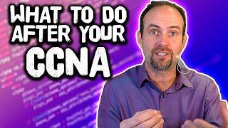 What Should You Do After Your CCNA?
