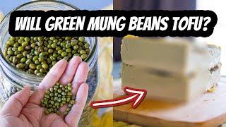 Will GREEN Mung Beans TOFU? | Mary's Test Kitchen