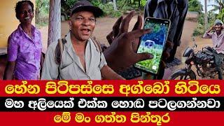 හේන පිටිපස්සෙ අග්බෝ හිටියෙ | මහ අලියෙක් එක්ක හොඬ පටලගන්නවා | මේ මං ගත්ත පින්තූර