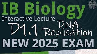 NEW 2025 EXAM - IB Biology D1.1 - DNA Replication [SL/HL] - Interactive Lecture