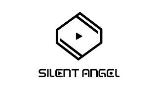 Silent Angel Hi-Fi Audio Product Overview (Currently)