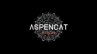 ASPENCAT - Tot és ara (Disc complet)