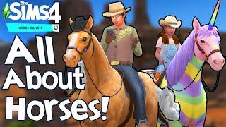 The Sims 4 Horse Ranch: ALL ABOUT HORSES GAMEPLAY!