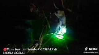 viral video anak SMP di lombok berubah menjadi anjing