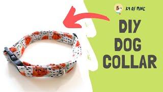 DIY Dog Collar: How to Make Your Own Dog Collar!