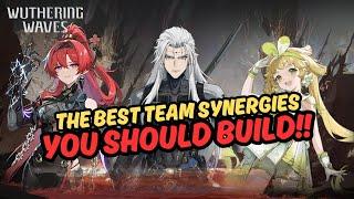 The Best Teams You Should Prepare To Build!! Synergies Worth Investing In Early?! | Wuthering Waves