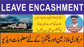 Leave Encashment Rules || Revised Leave Rules || Informative Video for Govt Employees and Pensioners