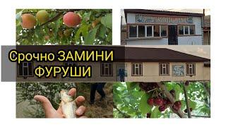 ЗАМИНИ ФУРУШИ ДАР ШАХРАКИ ФАЙЗОБОД.#душанбе #вахдат #фуруши #файзобод