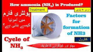 Formation of ammonia NH3 | How ammonia produce in poultry | Griffin Poultry