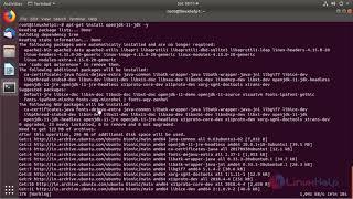 How to install OpenJDK 10.0.1 on Ubuntu 18.04