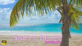 BARBUDA BEACH  ... Relaxing beach views and sounds from Barbuda Beach Cottages in the Caribbean