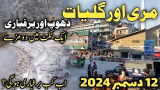 Murree snowfall today | murree nathiagali snowfall | #murree snow season 2024 | murree live today