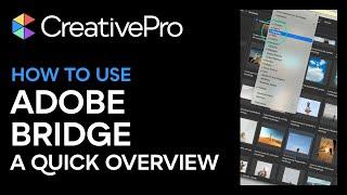 How to Use Bridge: A Quick Overview (Video Tutorial)